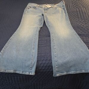 NWT TORRID SUPER FLARE JEANS-SIZE-12R